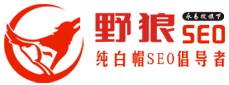 鄭州網(wǎng)站優(yōu)化公司-SEO外包、快照排名推廣服務(wù)-野狼SEO團(tuán)隊(duì)