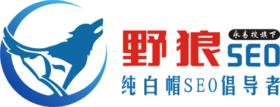 野狼SEO團隊