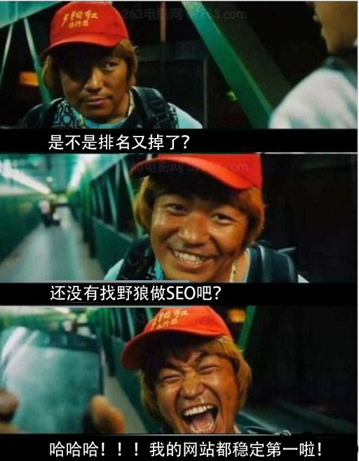 網(wǎng)絡(luò)推廣哪家強(qiáng)，中國(guó)鄭州找野狼