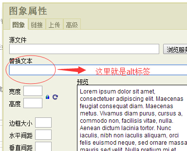 替換文本處添加的就是alt標簽